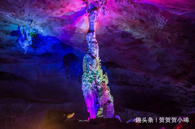拯救铁笼中的小牛
